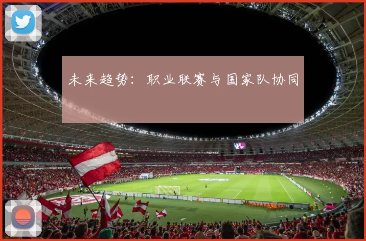 未来趋势：职业联赛与国家队协同