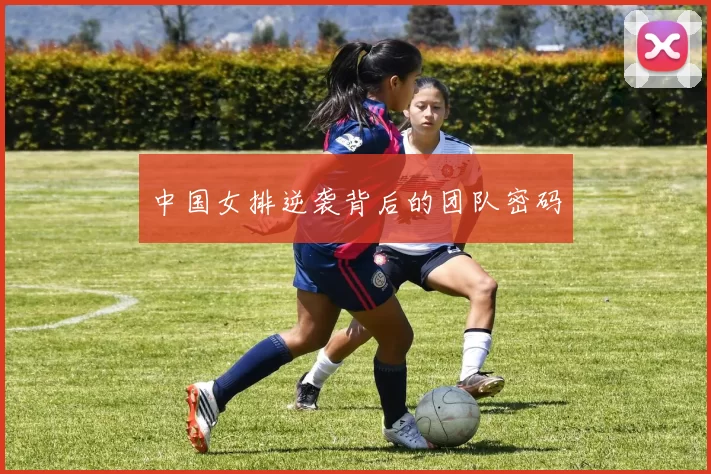 中国女排逆袭背后的团队密码