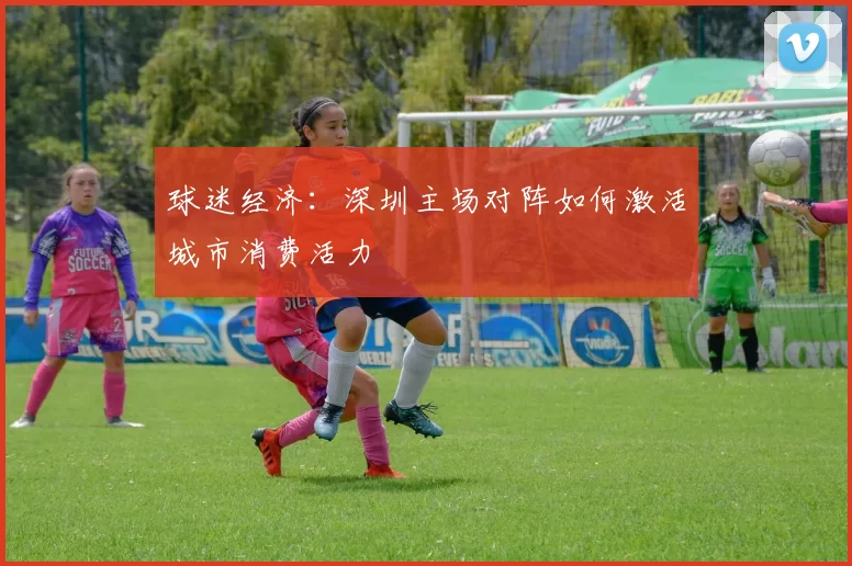球迷经济：深圳主场对阵如何激活城市消费活力