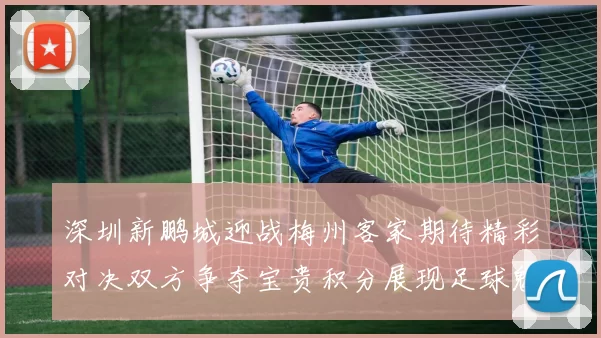 深圳新鹏城迎战梅州客家期待精彩对决双方争夺宝贵积分展现足球魅力